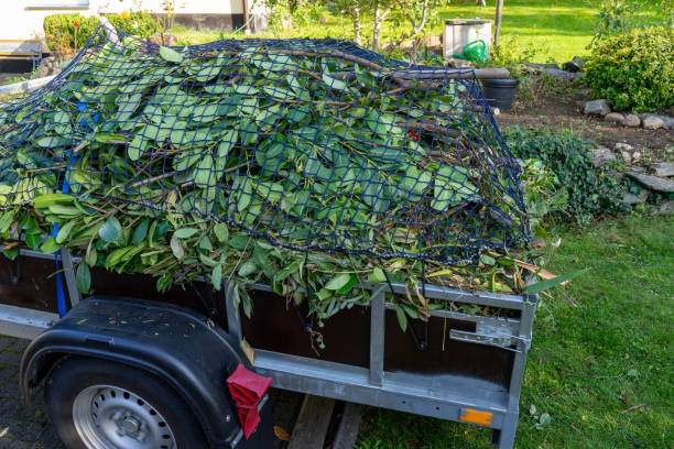 Best Moving and Downsizing Cleanouts  in Lawrenceville, NJ